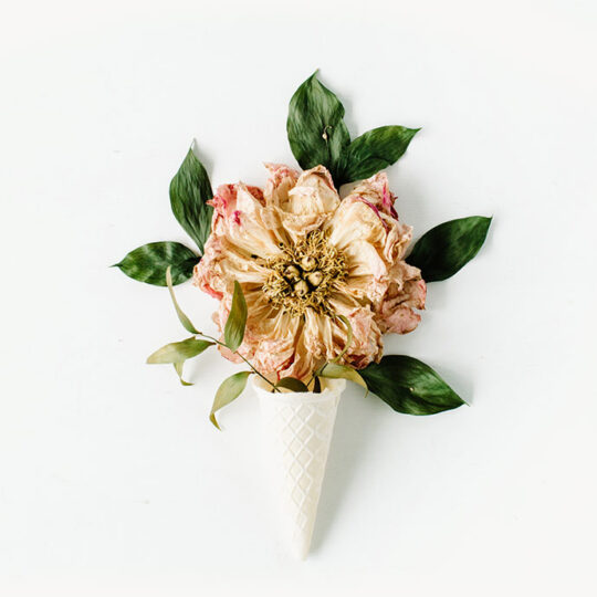 Dried Flower
